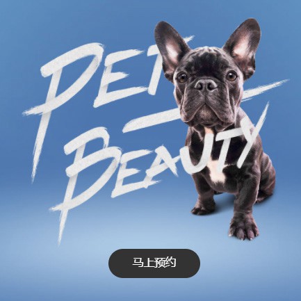 舒兰宠物中心小程序开发